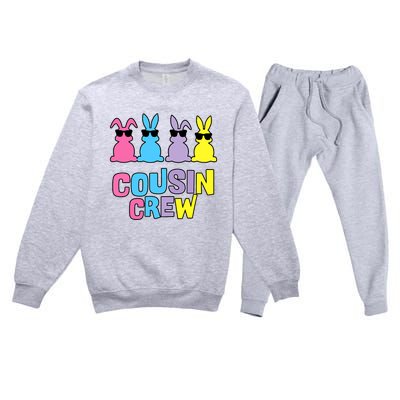 Easter Day Funny Cousin Crew Bunnies Easter Matching Colorful Rabbits Premium Crewneck Sweatsuit Set