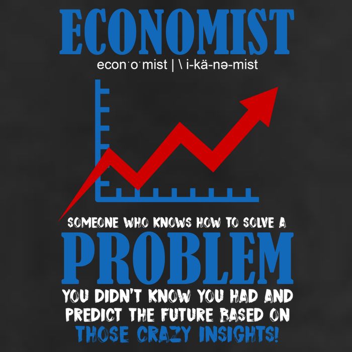Economist Definition Funny Joke 7 Panel Mesh Trucker Snapback Hat