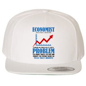 Economist Definition Funny Joke Wool Snapback Cap