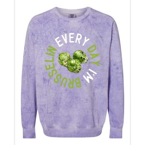 Every Day I'm Brusselin Gift Brussels Sprouts Vegan Pun Meme Gift Colorblast Crewneck Sweatshirt