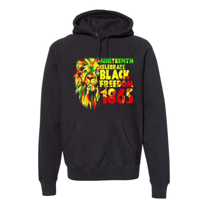 Emancipation Day Is Great With 1865 Juneteenth Celebrate Day Premium Hoodie