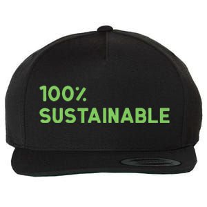 Earth Day Sustainable Recyclable Mother Earths Wool Snapback Cap