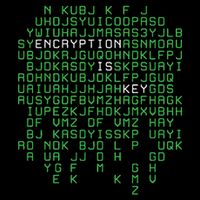 Encryption Design Security Programmer Cryptographer Women's T-Shirt
