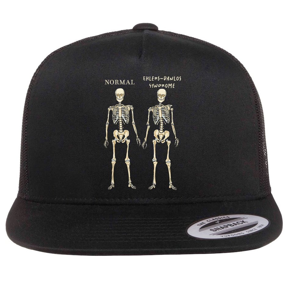 Ehlers Danlos Syndrome Skeletons Zebra Awareness Flat Bill Trucker Hat