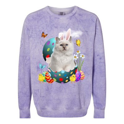 Easter Eggs Bir Bunny Cat Funny Gift Cat Dad Cat Mom Gift Colorblast Crewneck Sweatshirt