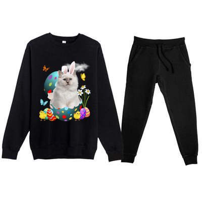 Easter Eggs Bir Bunny Cat Funny Gift Cat Dad Cat Mom Gift Premium Crewneck Sweatsuit Set