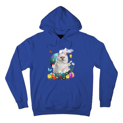 Easter Eggs Bir Bunny Cat Funny Gift Cat Dad Cat Mom Gift Hoodie