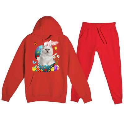 Easter Eggs Bir Bunny Cat Funny Gift Cat Dad Cat Mom Gift Premium Hooded Sweatsuit Set