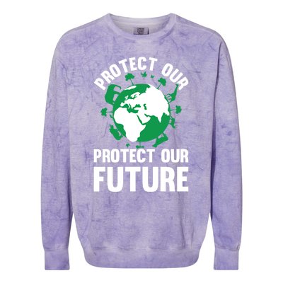 Environt Earth Day Protect Our Earth Protect Our Future Gift Colorblast Crewneck Sweatshirt