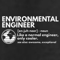Environmental Engineer Definition Funny Engineering Premium Pullover Hoodie