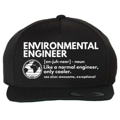 Environmental Engineer Definition Funny Engineering Wool Snapback Cap