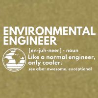 Environmental Engineer Definition Funny Engineering Garment-Dyed Women's Muscle Tee