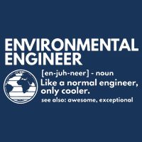 Environmental Engineer Definition Funny Engineering 16 in Basic Backpack