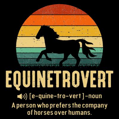 Equinetrovert Equestrian Equine Introvert T-Shirt