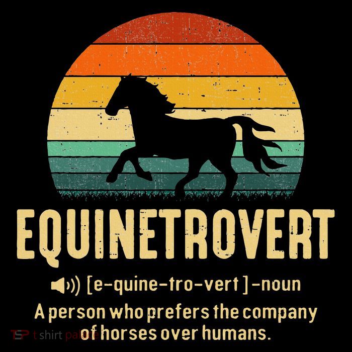 Equinetrovert Equestrian Equine Introvert Dry Zone Grid Polo