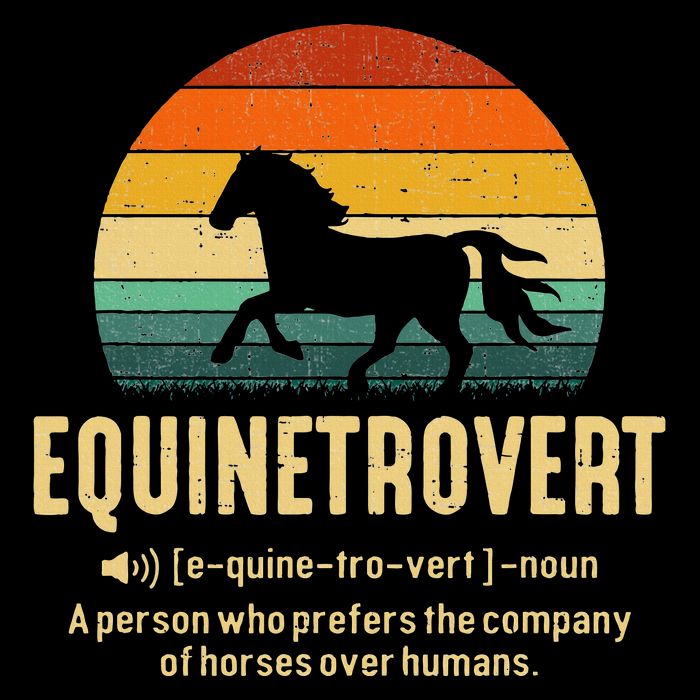 Equinetrovert Equestrian Equine Introvert Baby Bodysuit