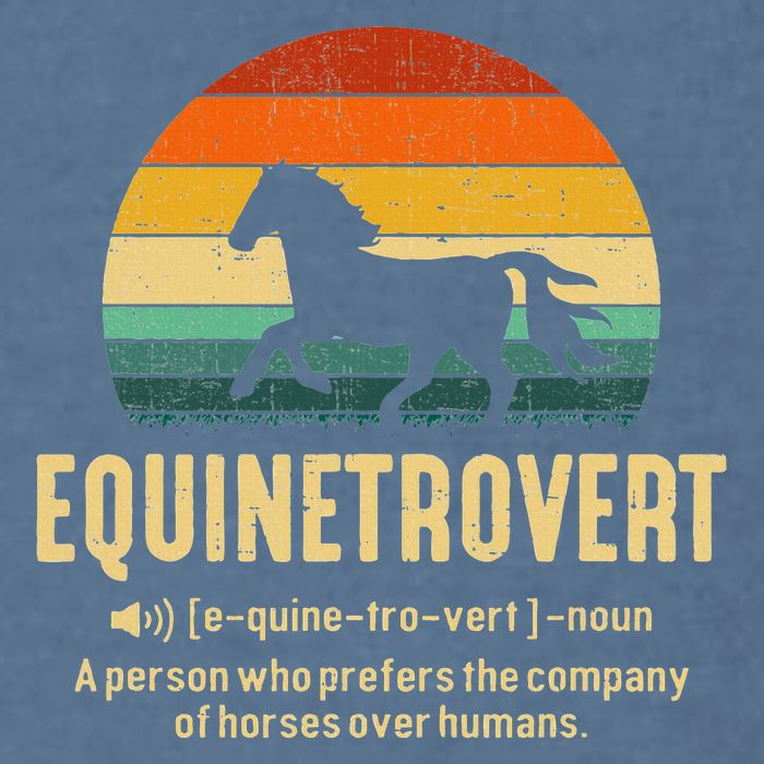 Equinetrovert Equestrian Equine Introvert Garment-Dyed Sweatshirt