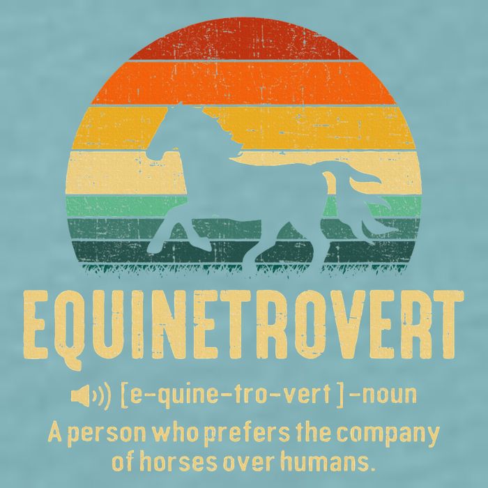 Equinetrovert Equestrian Equine Introvert Sueded Cloud Jersey T-Shirt