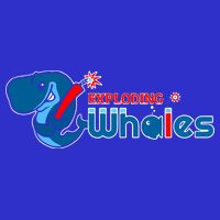 Eugene Emeralds Exploding Whales 16 in Basic Backpack