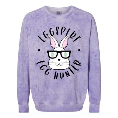 Eggspert Egg Hunter Gift Funny Easter Nerd Bunny Cartoon Gift Colorblast Crewneck Sweatshirt