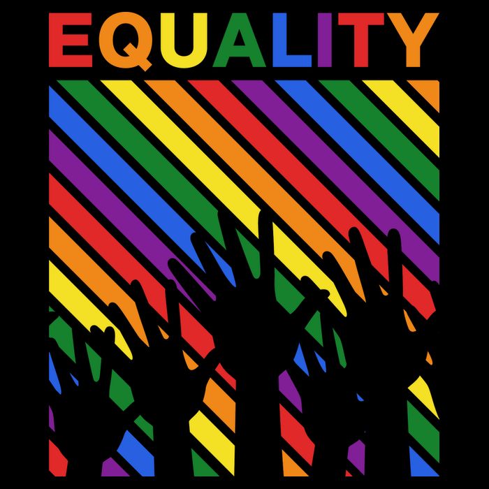 Equality Sustainable Knit Beanie