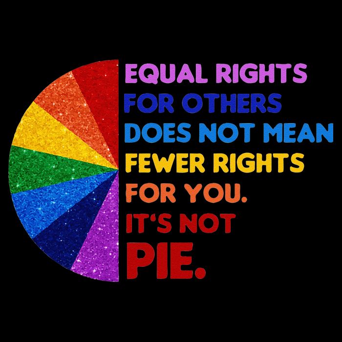 Equality Equal Rights For Others Its Not Pie T-Shirt