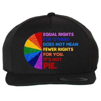 Equality Equal Rights For Others Its Not Pie Wool Snapback Cap