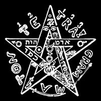 Esoteric Women's Crop Top Tee
