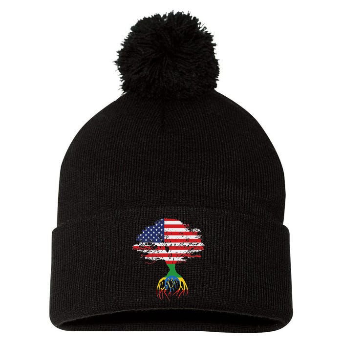 Ethiopian Ethiopia T Gift For Ethiopian People Pom Pom 12in Knit Beanie