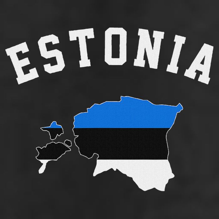 Estonian Flag Estonia Cool Comfort Performance Bucket Hat