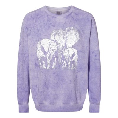 Elephant Family Elephant Colorblast Crewneck Sweatshirt