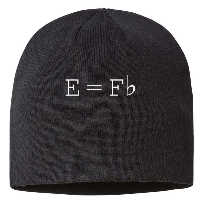 E = F Flat E Is Equal To F Flat Relativity Theory Music Sustainable Beanie