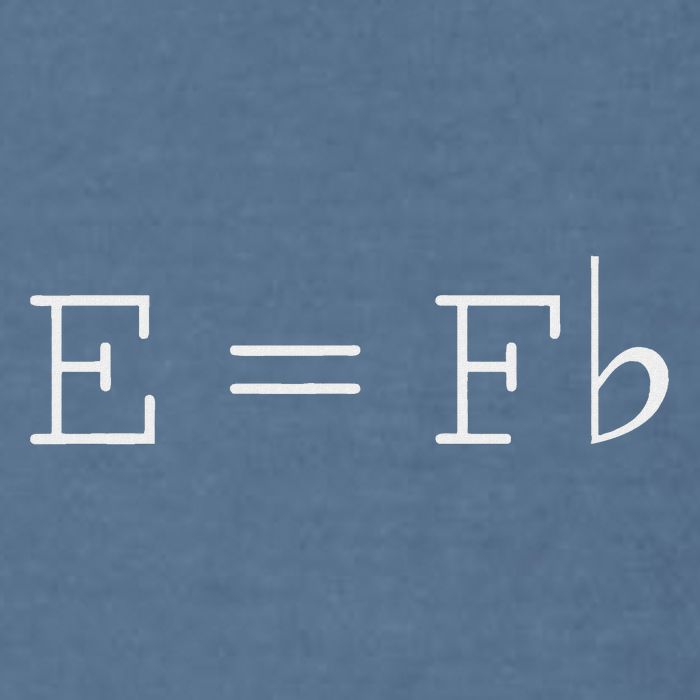 E = F Flat E Is Equal To F Flat Relativity Theory Music Garment-Dyed Sweatshirt