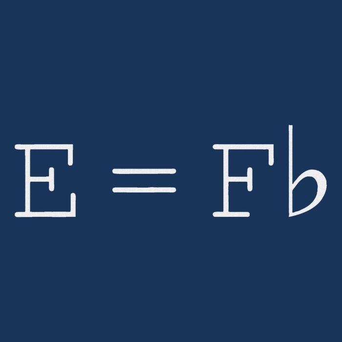 E = F Flat E Is Equal To F Flat Relativity Theory Music Infant Baby Jersey Bodysuit