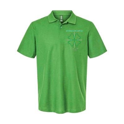 Equation for Luck Clover Irish Math Funny Teacher Gift Idea Softstyle Adult Sport Polo