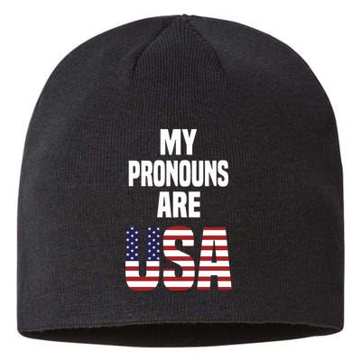 Enes Freedom My Pronouns Are Usa Sustainable Beanie