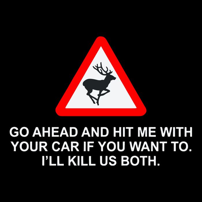 Espresso Future Roadkill Go Ahead And Hit Me With Your Car If You Want To ILl K T-Shirt