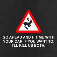 Espresso Future Roadkill Go Ahead And Hit Me With Your Car If You Want To ILl K Trucker Hat