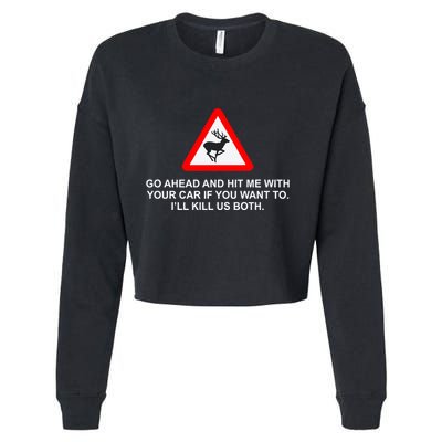 Espresso Future Roadkill Go Ahead And Hit Me With Your Car If You Want To ILl K Cropped Pullover Crew