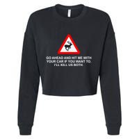 Espresso Future Roadkill Go Ahead And Hit Me With Your Car If You Want To ILl K Cropped Pullover Crew