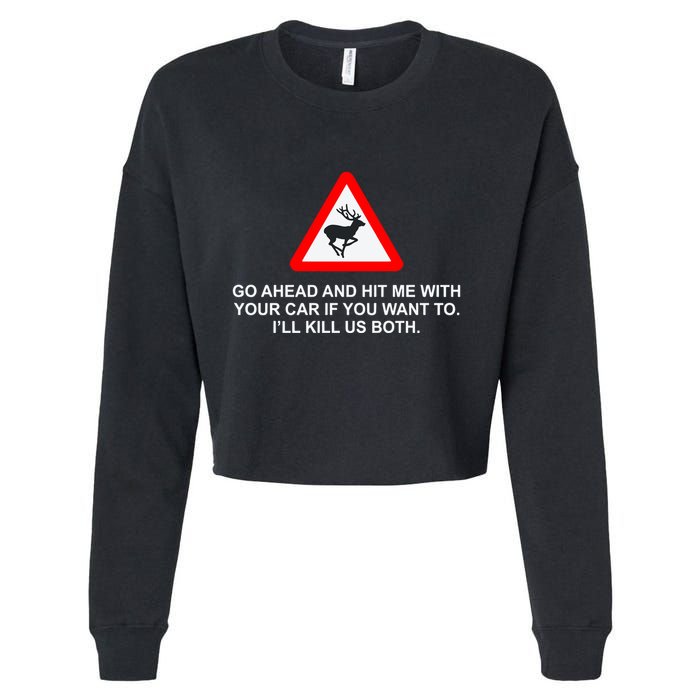 Espresso Future Roadkill Go Ahead And Hit Me With Your Car If You Want To ILl K Cropped Pullover Crew