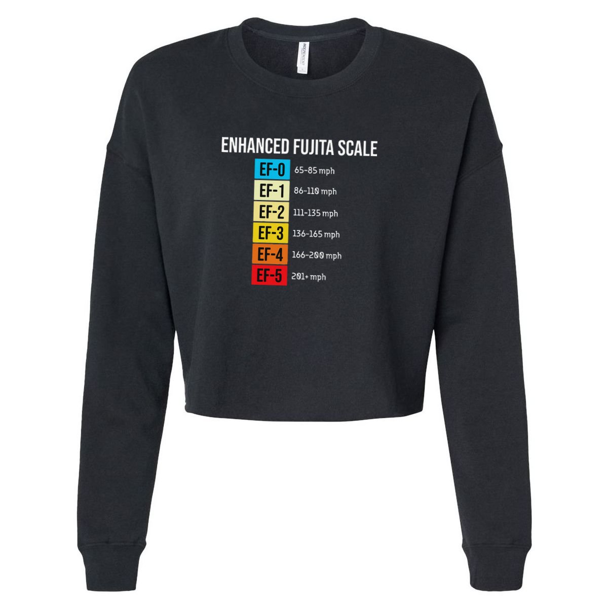 Enhanced Fujita Scale Meteorologist Meteorology Weather Apron