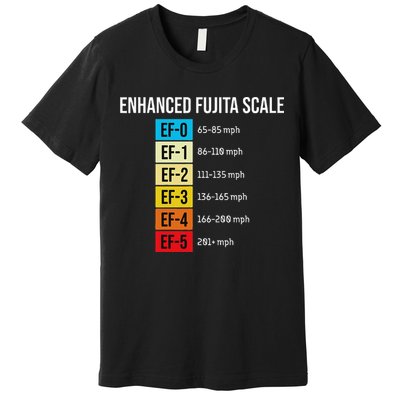 Enhanced Fujita Scale Meteorologist Meteorology Weather Premium T-Shirt