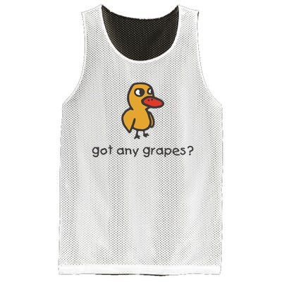 Embroidered Got Any Grapes Duck Mesh Reversible Basketball Jersey Tank