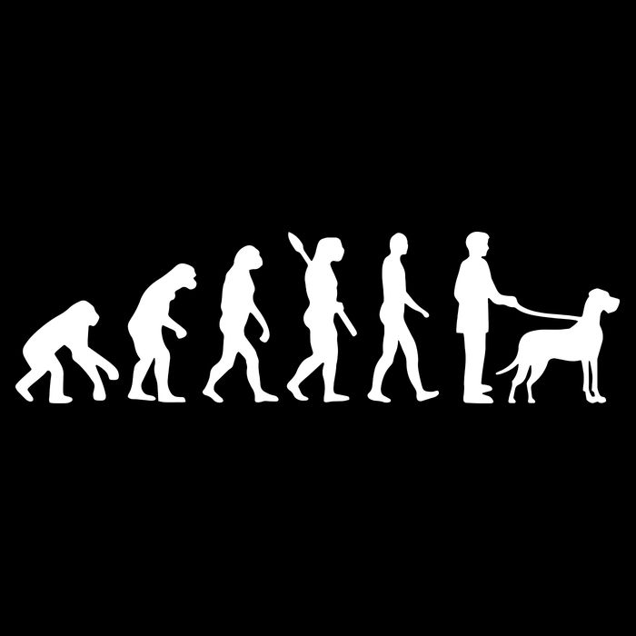 Evolution Great Dane 16 in Basic Backpack