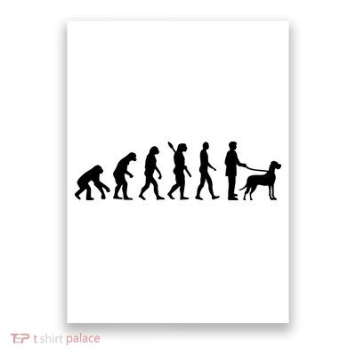 Evolution Great Dane Poster