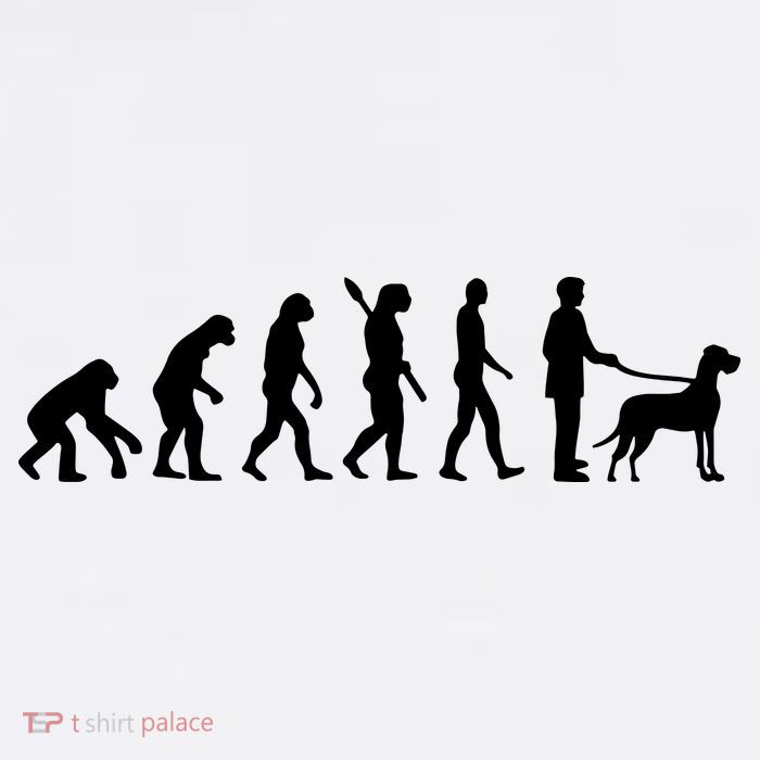 Evolution Great Dane Women's V-Neck T-Shirt