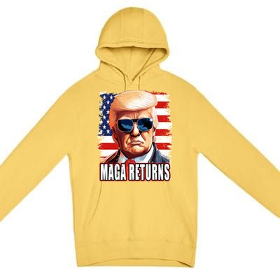 Elections Gift Premium Pullover Hoodie