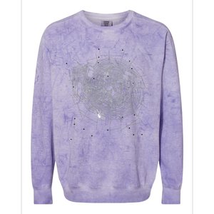 Entomologist Gift Idea Cobweb Spider Colorblast Crewneck Sweatshirt