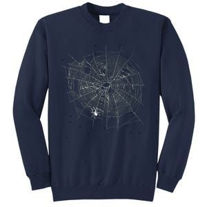 Entomologist Gift Idea Cobweb Spider Tall Sweatshirt